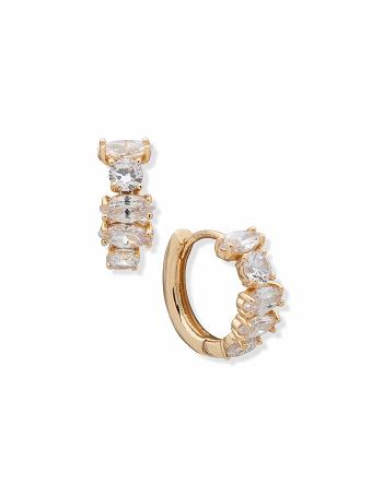 Anne Klein Navette Round Stone Hoops Gennemborede øreringe Guld Grå | TDKWZ93672